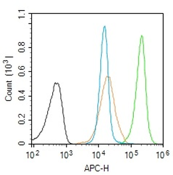 Cofilin Rabbit Polyclonal Antibody