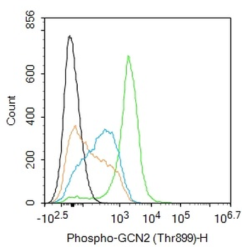 Phospho-GCN2 (Thr899) Rabbit Polyclonal Antibody