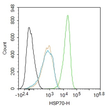 HSP70 Recombinant Rabbit Monoclonal Antibody