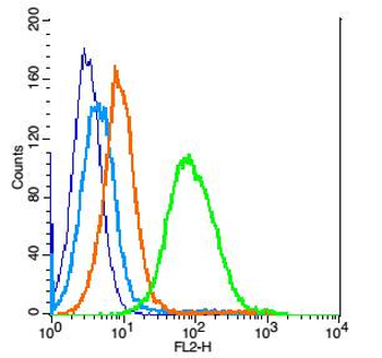 Piwil2 Rabbit Polyclonal Antibody