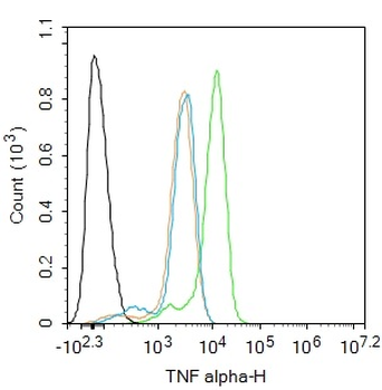 TNF alpha Rabbit Polyclonal Antibody