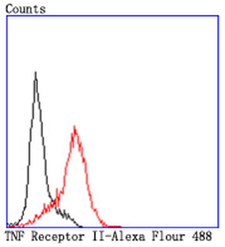 TNFR2 Recombinant Rabbit Monoclonal Antibody