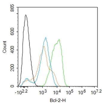 Bcl-2 Recombinant Rabbit Monoclonal Antibody