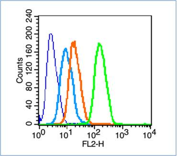 Histone H3 (Tri Methyl K27) Rabbit Polyclonal Antibody