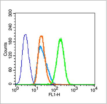 Phospho-Histone H3 (Ser28) Rabbit Polyclonal Antibody