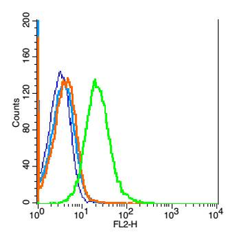 IL22BP Rabbit Polyclonal Antibody