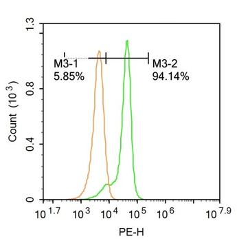 Jak3 Rabbit Polyclonal Antibody