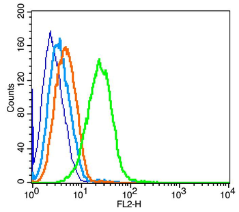 CD85c Rabbit Polyclonal Antibody