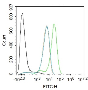 TORC2 Rabbit Polyclonal Antibody