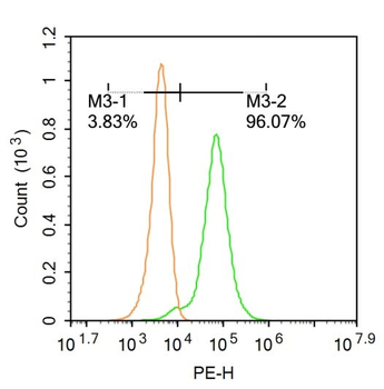MDH1 Rabbit Polyclonal Antibody