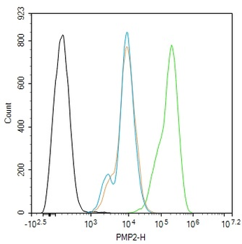 PMP2 Rabbit Polyclonal Antibody