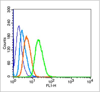 Phospho-P53 (Ser15) Rabbit Polyclonal Antibody