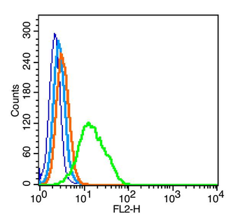 PDE5A Rabbit Polyclonal Antibody