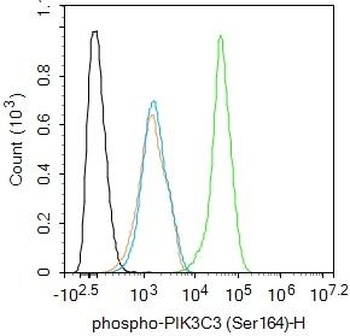 PIK3C3 (phospho-Ser164) antibody