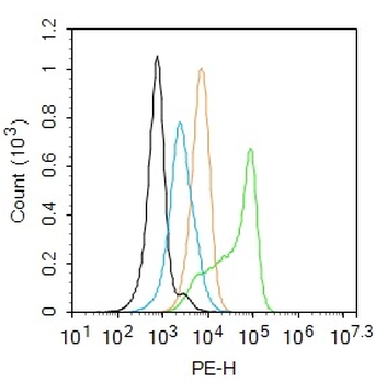 PRKAR2A Rabbit Polyclonal Antibody