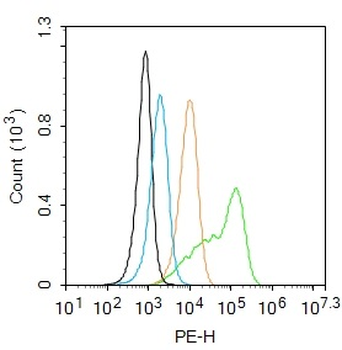 RECK Rabbit Polyclonal Antibody