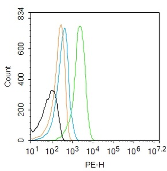 RIP2 Rabbit Polyclonal Antibody