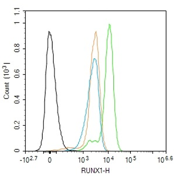 RUNX1 Rabbit Polyclonal Antibody