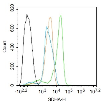 SDHA Rabbit Polyclonal Antibody