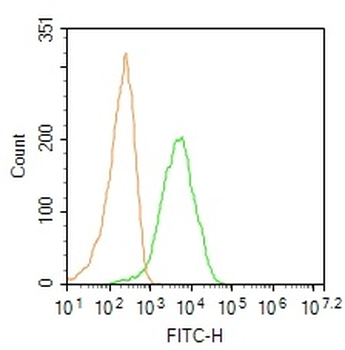 S100-A8 / MRP8 Rabbit Polyclonal Antibody