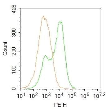 Phospho-SGK1 (Ser422) Rabbit Polyclonal Antibody