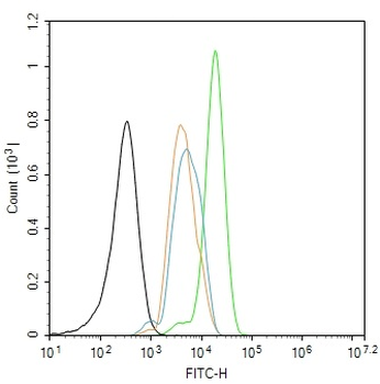 Phospho-SHC1 (Tyr349) Rabbit Polyclonal Antibody