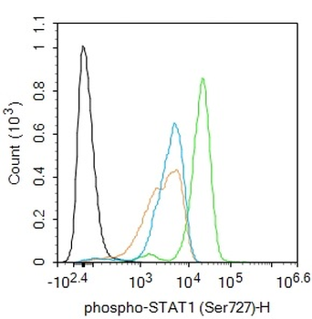 Phospho-STAT1 (Ser727) Rabbit Polyclonal Antibody