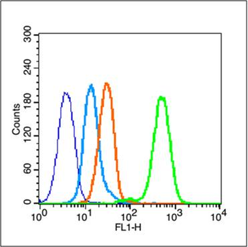 Phospho-STAT3 (Ser727) Rabbit Polyclonal Antibody