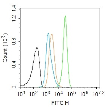 STAT6 Recombinant Rabbit Monoclonal Antibody