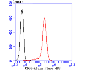 CD3 gamma Recombinant Rabbit Monoclonal Antibody
