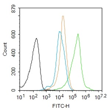 PRAK Rabbit Polyclonal Antibody