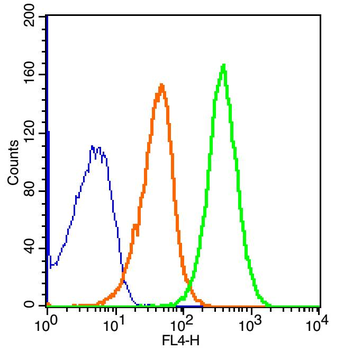 CR2 Rabbit Polyclonal Antibody