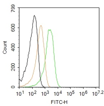 ADCY10 Rabbit Polyclonal Antibody (FITC)