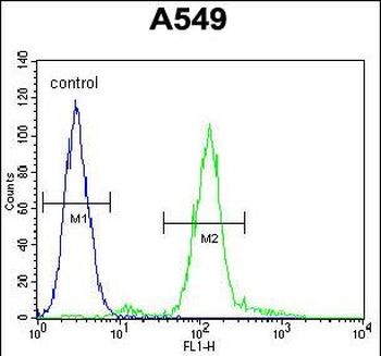 ZEB1 Mouse Monoclonal Antibody