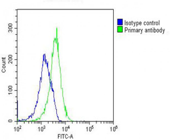 GNMT Mouse Monoclonal Antibody