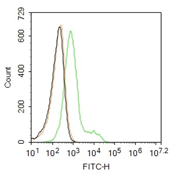 LPA3 Rabbit Polyclonal Antibody (FITC)