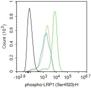 LRP1 (phospho-Ser452) antibody