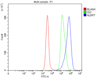 Anti-NLRP7 Antibody