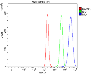 Anti-MLX Antibody
