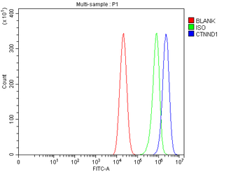 Anti-delta 1 Catenin/CAS/CTNND1 Antibody