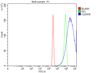 Anti-Claudin18/CLDN18 Antibody