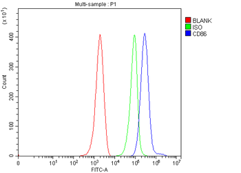 Anti-Cd86 Antibody
