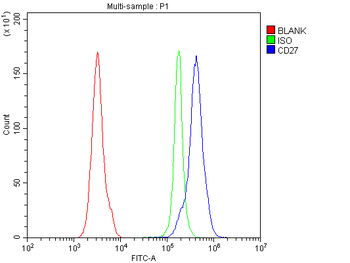 Anti-Cd27 Antibody