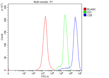 Anti-CD9 Antibody