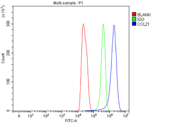 Anti-Ccl21 Antibody