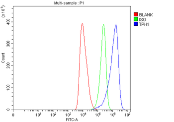 Anti-Tryptophan Hydroxylase/TPH1 Antibody