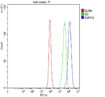 Anti-p38 alpha/MAPK14 Antibody