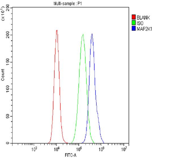 Anti-MEK1/MAP2K1 Antibody