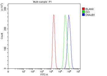 Anti-Hsp40/DNAJB1 Antibody