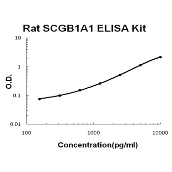 Rat SCGB1A1/uteroglobin ELISA Kit (DIY Antibody Pairs)